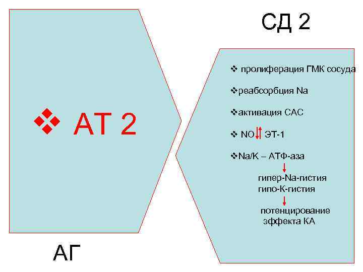 СД 2 v пролиферация ГМК сосуда vреабсорбция Na v АТ 2 vактивация САС v