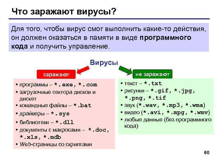 Что заражают вирусы? Для того, чтобы вирус смог выполнить какие-то действия, он должен оказаться