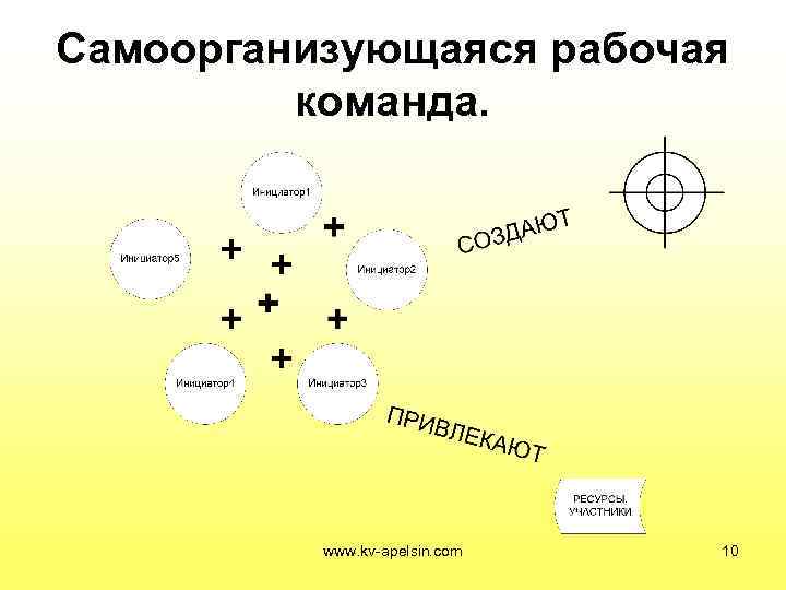 Самоорганизующаяся рабочая   команда.    www. kv-apelsin. com  10 