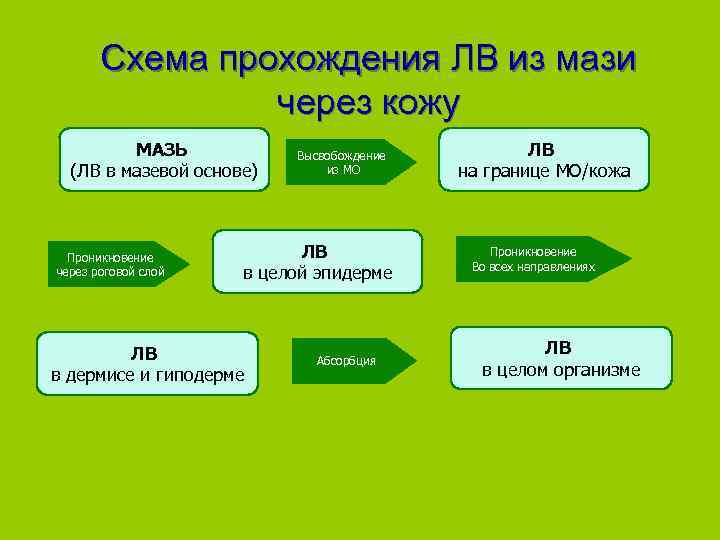   Схема прохождения ЛВ из мази   через кожу   МАЗЬ