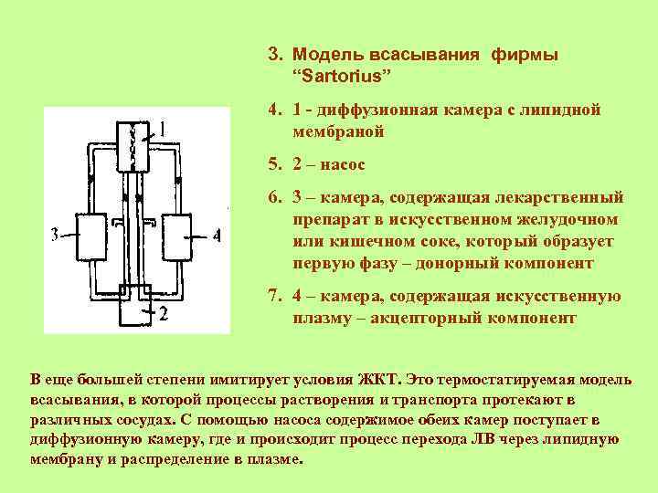       3. Модель всасывания фирмы    