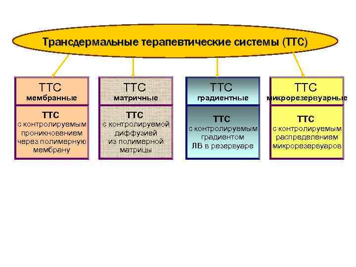 Трансдермальные терапевтические системы (ТТС) ТТС мембранные матричные Трансдермальные терапевтические системы (ТТС) ТТС мембранные матричные