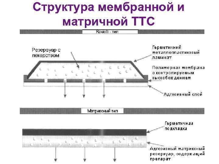Структура мембранной и матричной ТТС Структура мембранной и матричной ТТС