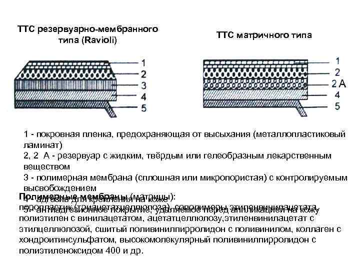 Трансдермальная терапевтическая система. Трансдермальные терапевтические системы (ТТС). Матричные трансдермальные терапевтические системы. Мембранные ТТС. Трансдермальные лекарственные формы.