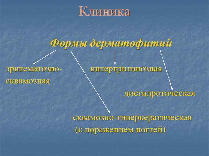    Клиника  Формы дерматофитий эритематозно- интертригинозная сквамозная    