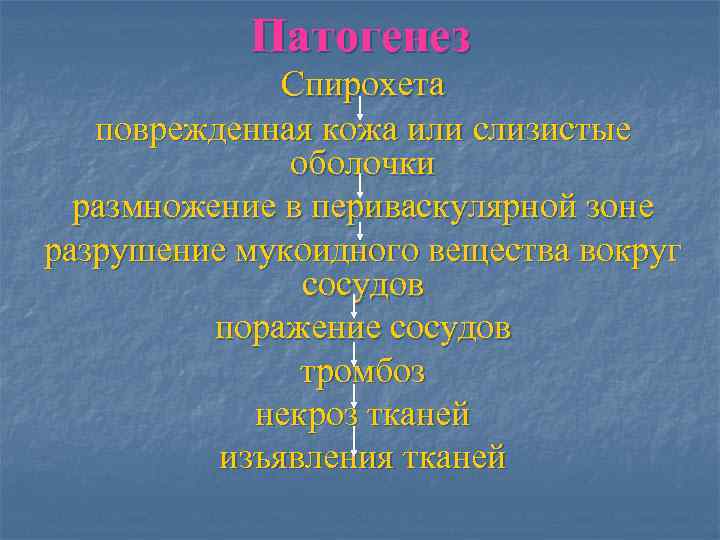   Патогенез    Спирохета  поврежденная кожа или слизистые  