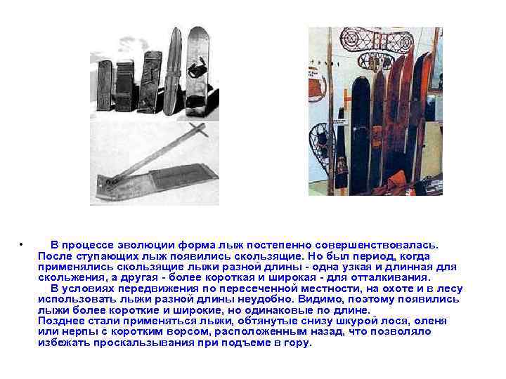  •  В процессе эволюции форма лыж постепенно совершенствовалась.  После ступающих лыж