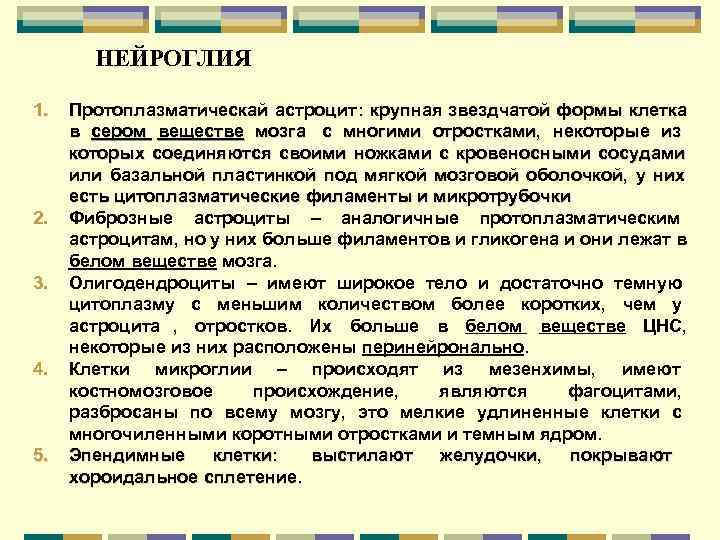   НЕЙРОГЛИЯ 1.  Протоплазматическай астроцит : крупная звездчатой формы клетка в сером