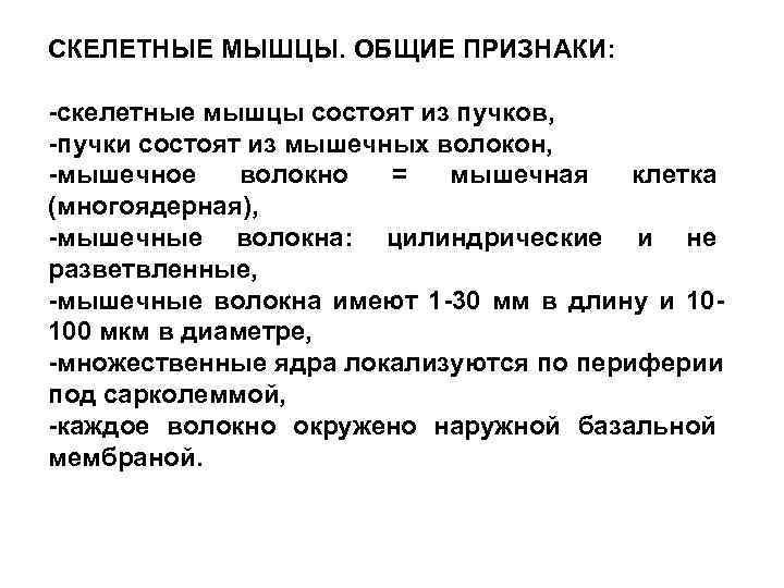 СКЕЛЕТНЫЕ МЫШЦЫ. ОБЩИЕ ПРИЗНАКИ:  -скелетные мышцы состоят из пучков, -пучки состоят из мышечных