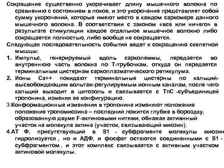 Сокращение существенно укорачивает длину мышечного волокна по  сравнению с состоянием в покое, и