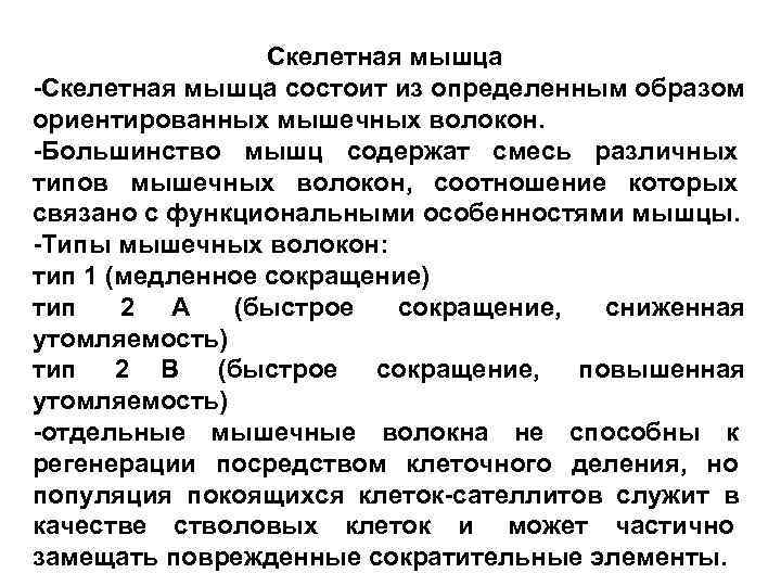   Скелетная мышца -Скелетная мышца состоит из определенным образом ориентированных мышечных волокон.