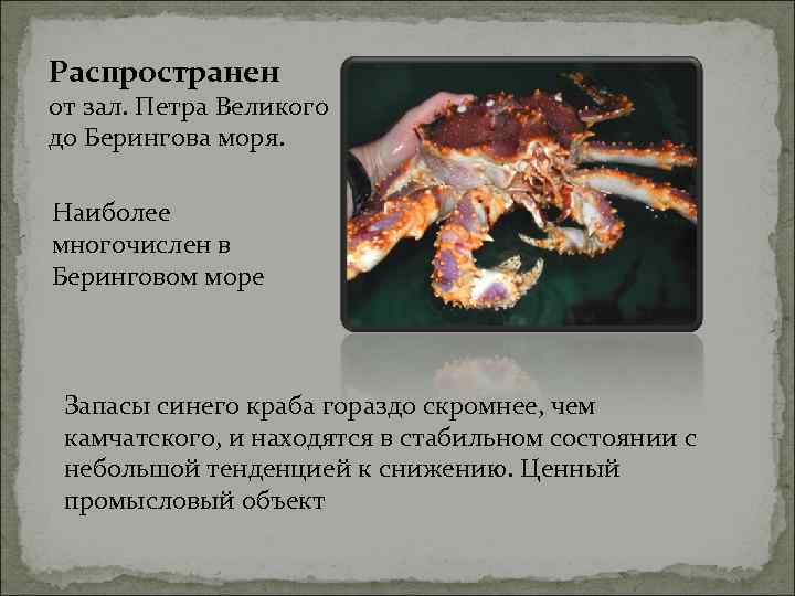 Распространен от зал. Петра Великого до Берингова моря.  Наиболее многочислен в Беринговом море