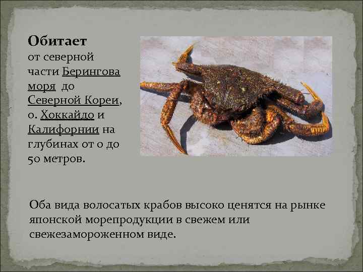 Обитает от северной части Берингова моря до Северной Кореи,  о. Хоккайдо и Калифорнии