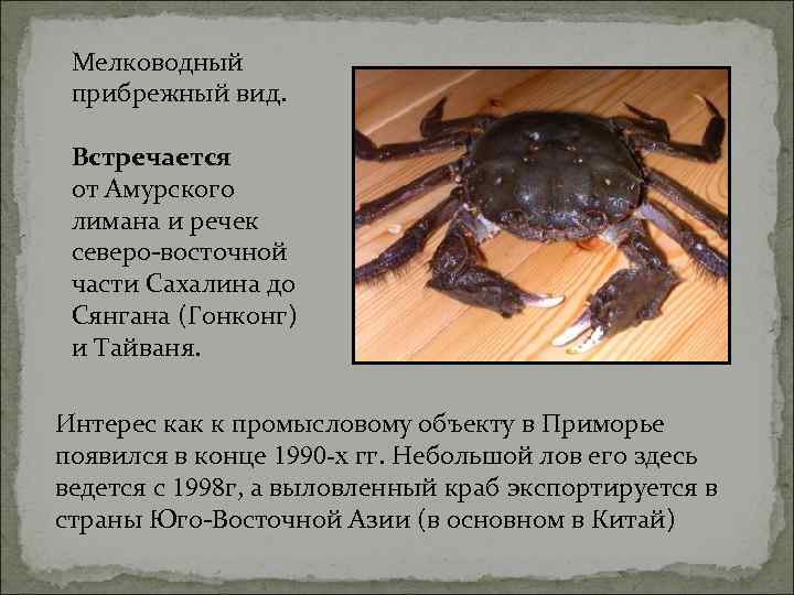  Мелководный  прибрежный вид.  Встречается  от Амурского  лимана и речек