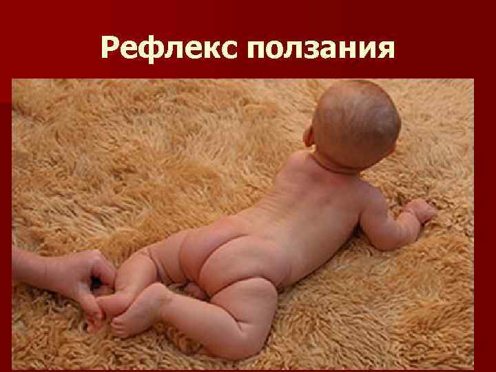 Рефлекс ползания Рефлекс ползания