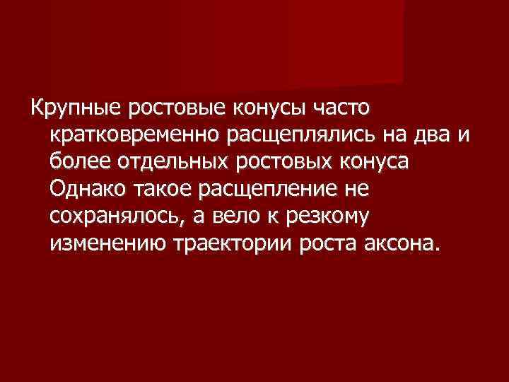 Крупные ростовые конусы часто  кратковременно расщеплялись на два и  более отдельных ростовых