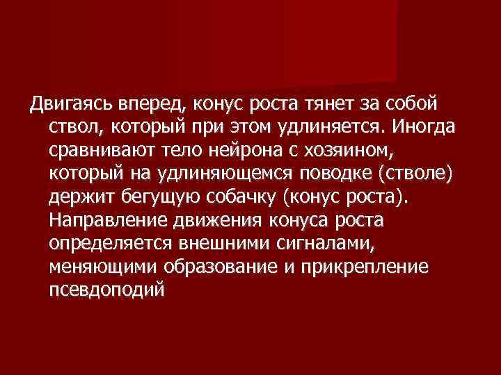Двигаясь вперед, конус роста тянет за собой  ствол, который при этом удлиняется. Иногда
