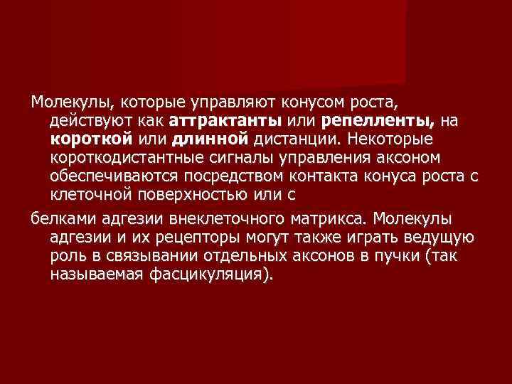 Молекулы, которые управляют конусом роста, действуют как аттрактанты или репелленты, на  короткой или