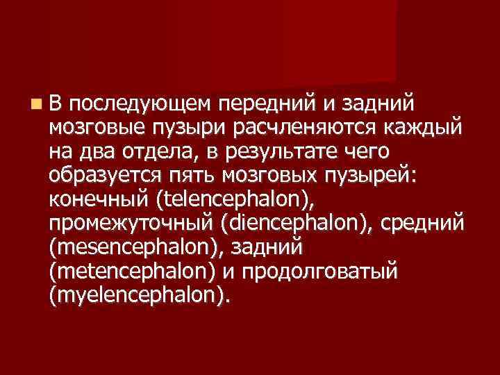  В последующем передний и задний  мозговые пузыри расчленяются каждый  на два