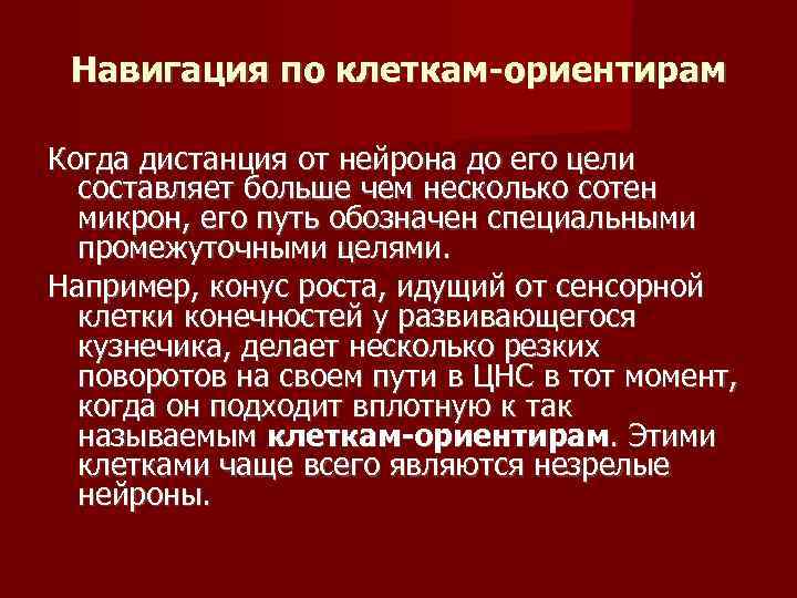  Навигация по клеткам-ориентирам Когда дистанция от нейрона до его цели  составляет больше