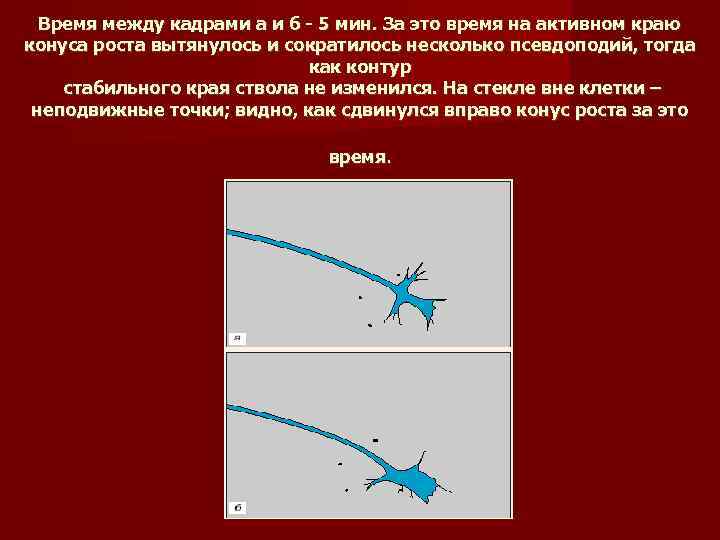  Время между кадрами а и б - 5 мин. За это время на
