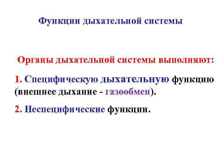 Функции дыхательной системы Органы дыхательной системы выполняют: 1. Специфическую дыхательную функцию Функции дыхательной системы Органы дыхательной системы выполняют: 1. Специфическую дыхательную функцию