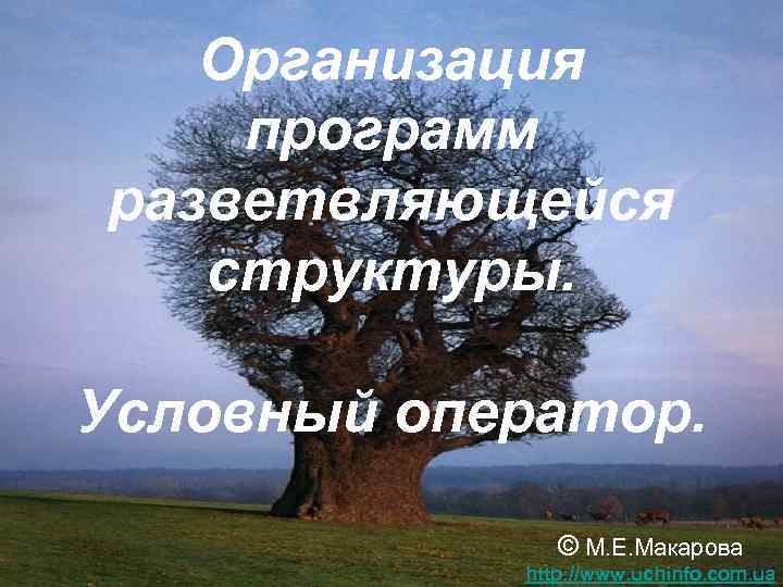   Организация программ разветвляющейся  структуры.  Условный оператор.   © М.