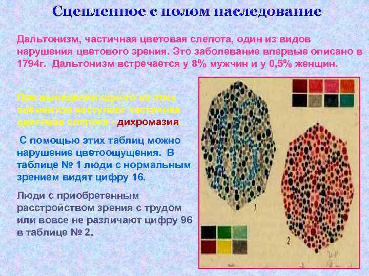 Сцепленное с полом наследование Дальтонизм, частичная цветовая слепота, один из видов нарушения цветового Сцепленное с полом наследование Дальтонизм, частичная цветовая слепота, один из видов нарушения цветового