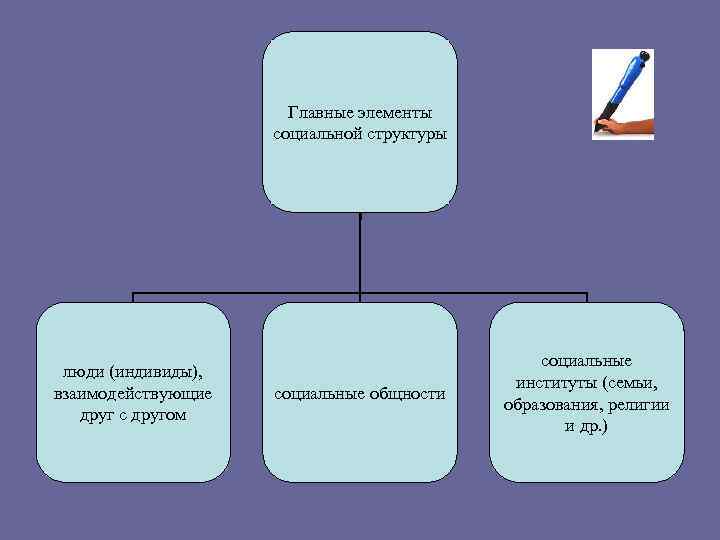      Главные элементы     социальной структуры 