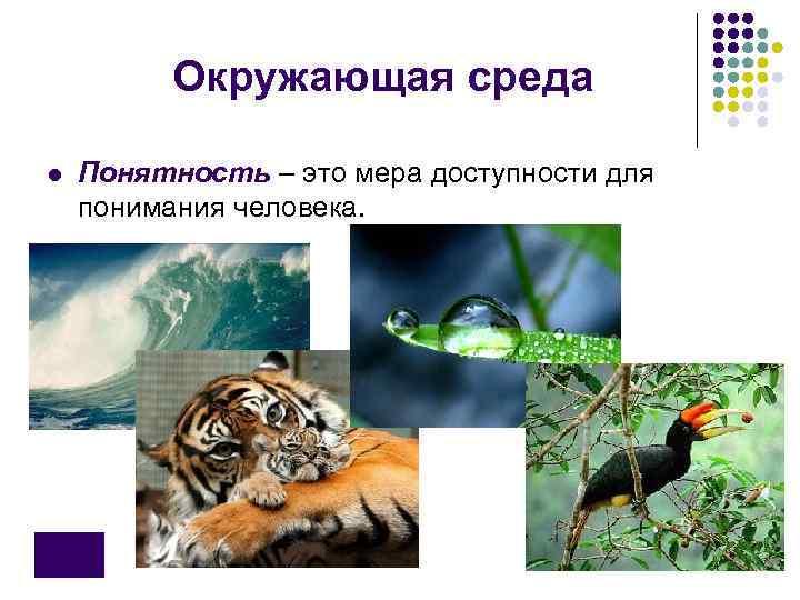    Окружающая среда l  Понятность – это мера доступности для понимания