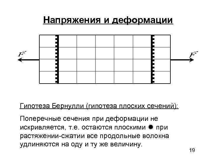  Напряжения и деформации Гипотеза Бернулли (гипотеза плоских сечений): Поперечные сечения при деформации не