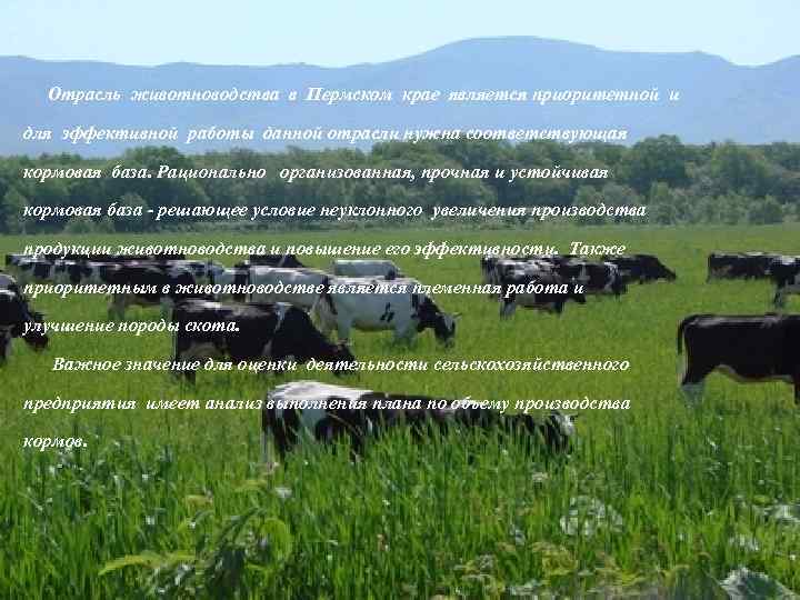   Отрасль животноводства в Пермском крае является приоритетной и для эффективной работы данной