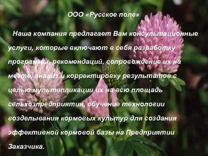     ООО «Русское поле»  Наша компания предлагает Вам консультационные услуги,