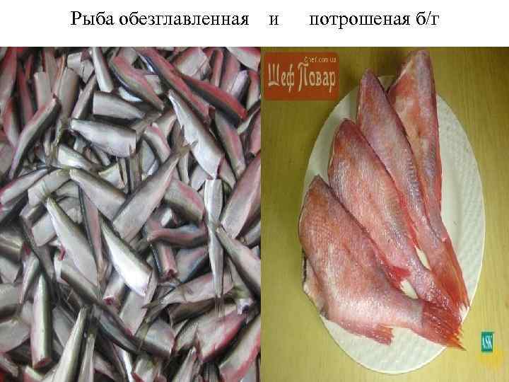Рыба обезглавленная  и потрошеная б/г 
