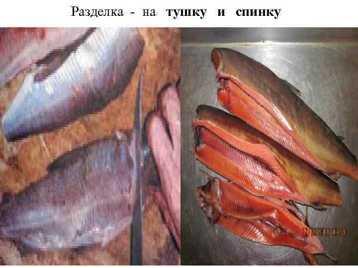 Разделка - на  тушку  и  спинку   