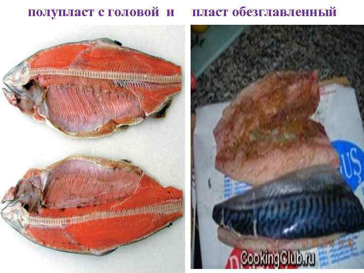 полупласт с головой и пласт обезглавленный 