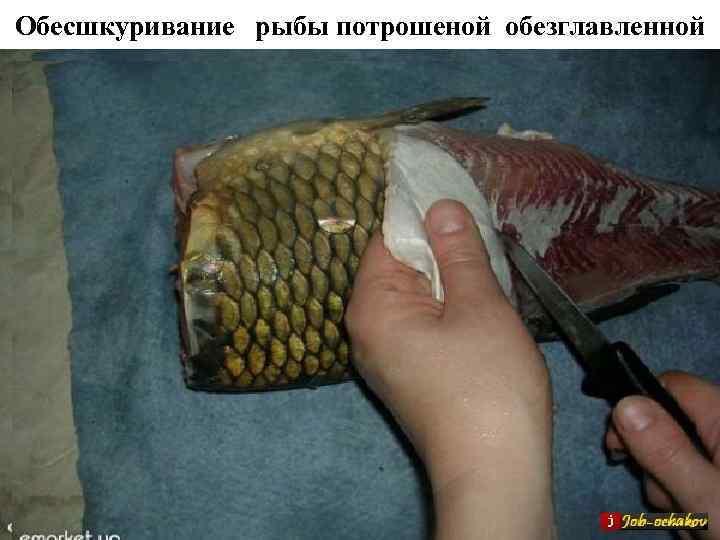 Обесшкуривание  рыбы потрошеной обезглавленной 