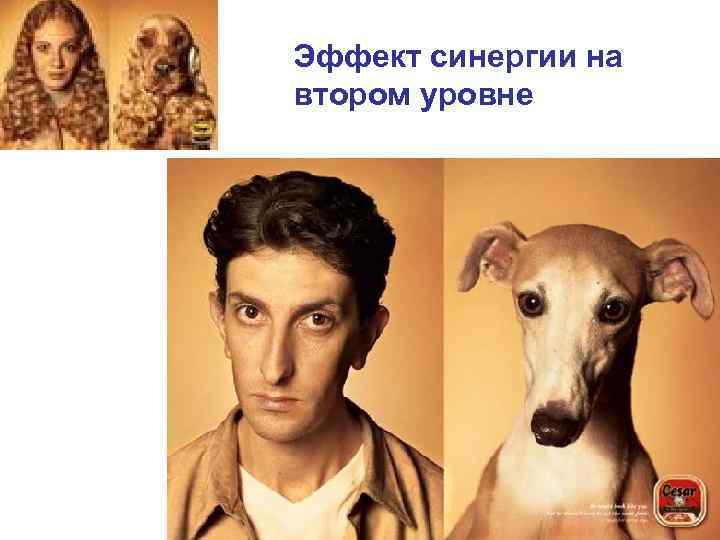Эффект синергии на втором уровне Эффект синергии на втором уровне