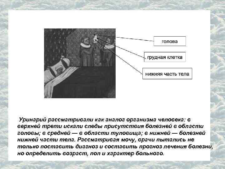 Уринарий рассматривали как аналог организма человека: в верхней трети искали следы присутствия болезней Уринарий рассматривали как аналог организма человека: в верхней трети искали следы присутствия болезней