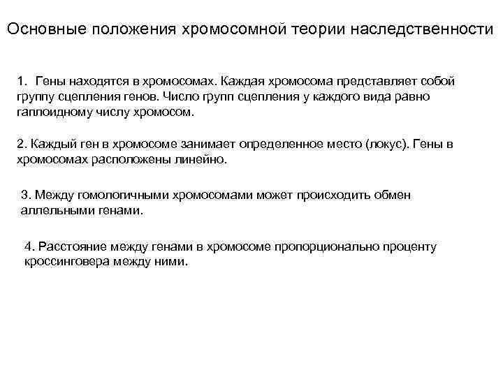 Основные положения хромосомной теории наследственности  1. Гены находятся в хромосомах. Каждая хромосома представляет