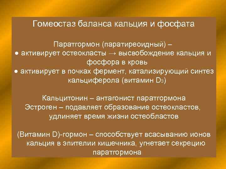   Гомеостаз баланса кальция и фосфата  Паратгормон (паратиреоидный) – ● активирует остеокласты