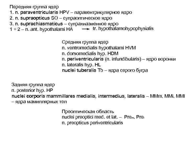 Передняя группа ядер 1. n. paraventricularis HPV – паравентрикулярное ядро 2. n. supraopticus SO