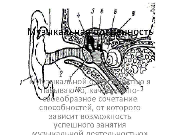Музыкальная одаренность «Музыкальной одаренностью я  называю то, качественно-  своеобразное сочетание  способностей,