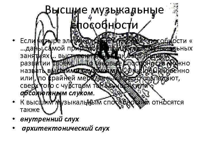   Высшие музыкальные   способности • Если четыре элементарные слуховые способности «