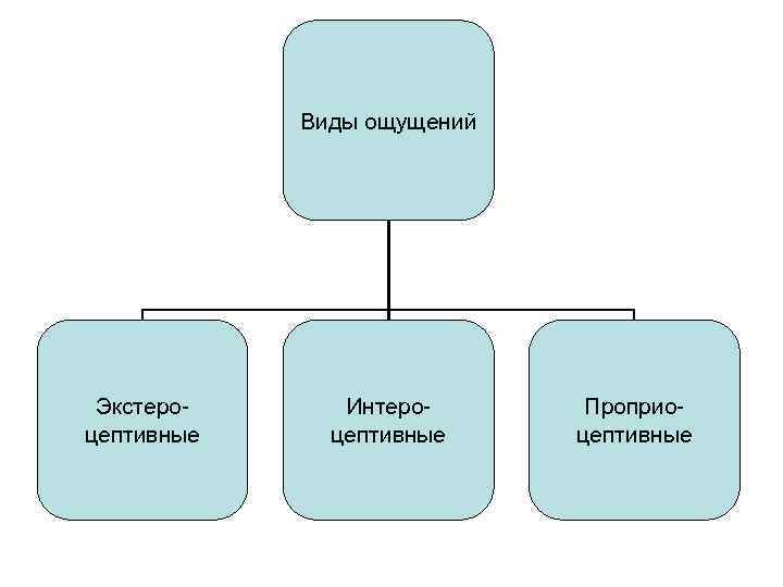   Виды ощущений Экстеро- Интеро-  Проприо- цептивные 