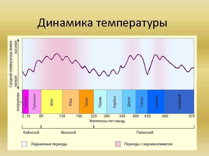 Динамика температуры 