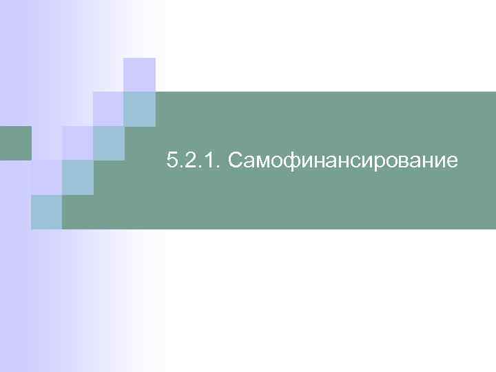 5. 2. 1. Самофинансирование 
