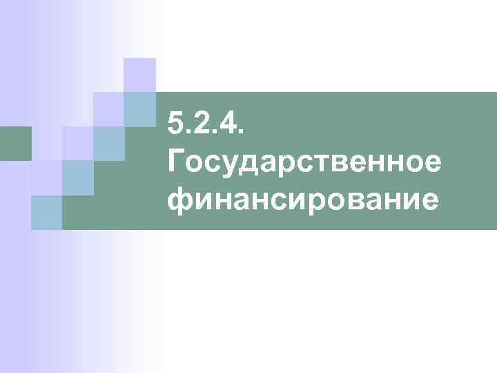 5. 2. 4. Государственное финансирование 