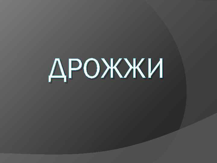 ДРОЖЖИ ДРОЖЖИ