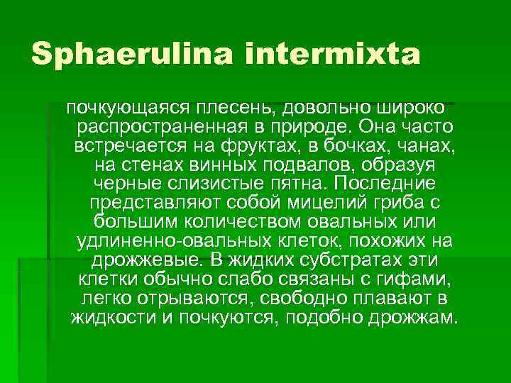 Sphaerulina intermixta почкующаяся плесень, довольно широко  распространенная в природе. Она часто  встречается